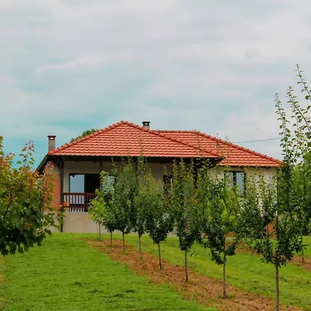 Sladjana *