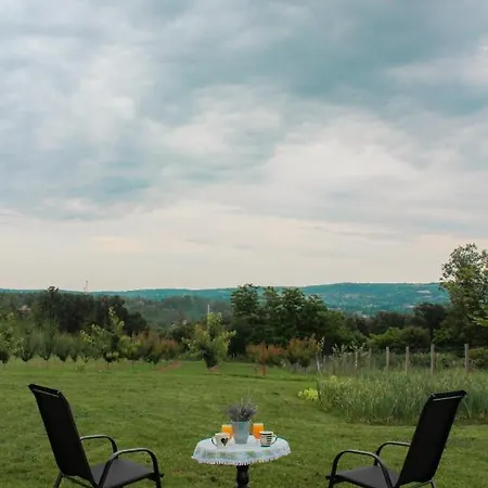 Sladjana Villa Mladenovac
