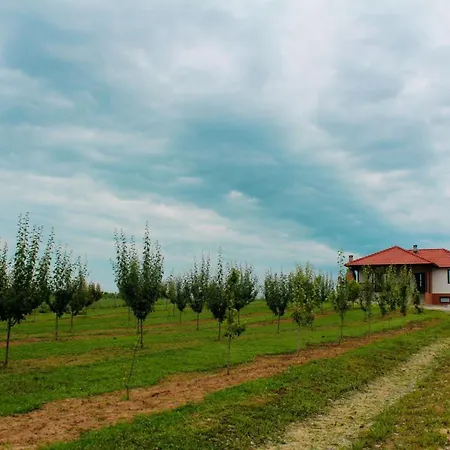 Sladjana Младеновац