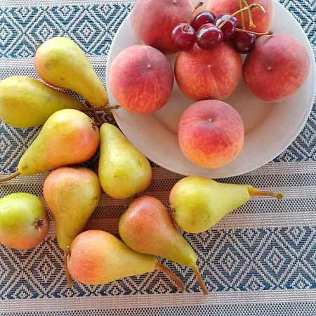 Sladjana *