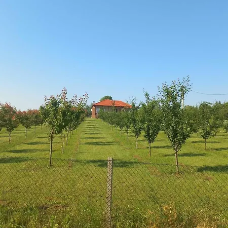 Villa Sladjana Mladenovac