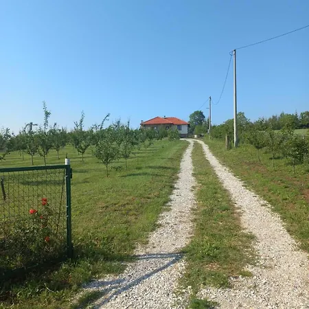 Sladjana