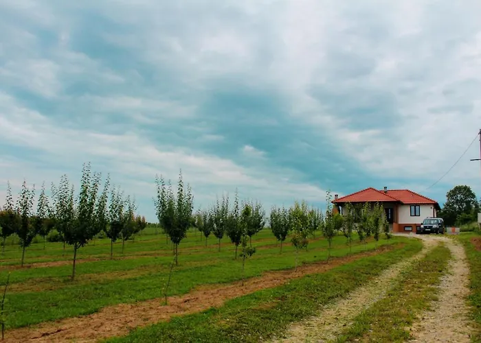 Sladjana Mladenovac (Belgrade)