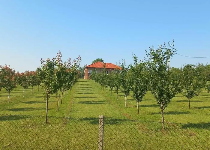 Villa Sladjana Mladenovac (Belgrade)